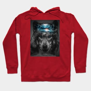 Alpha Hoodie